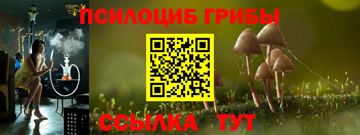 Псилоцибиновые грибы GOLDEN TEACHER Ишим