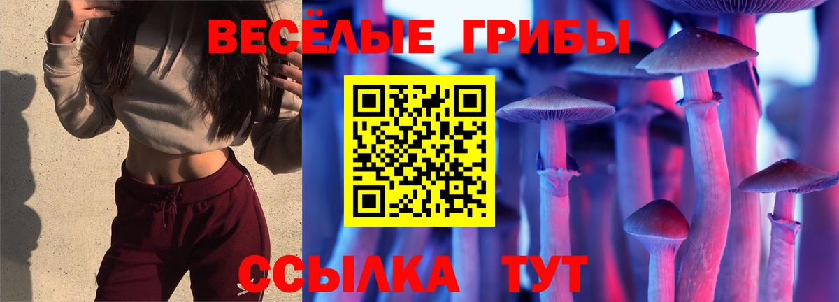Ишим  Галлюциногенные грибы MAGIC MUSHROOMS  Вход с VPN 